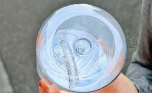 Plastic vs. Tritan Water Bottles: Which One Will Be Safer in 2026?